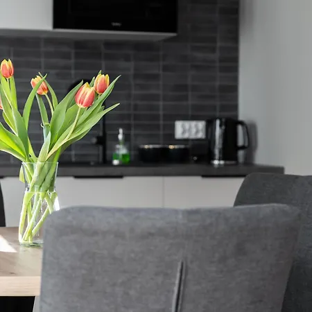 Apartment Przy Koscielnej Poznan